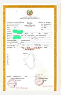 T00195